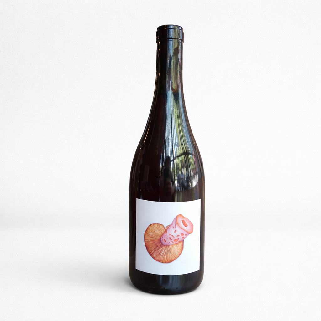 Borra País 2021 - Borra Bar de Vinos