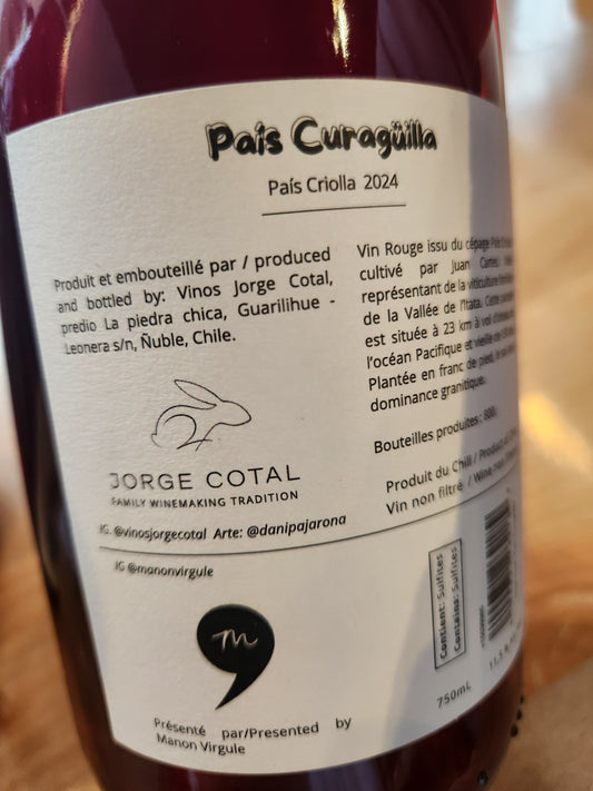 Vino País Curagüilla Jorge Cotal