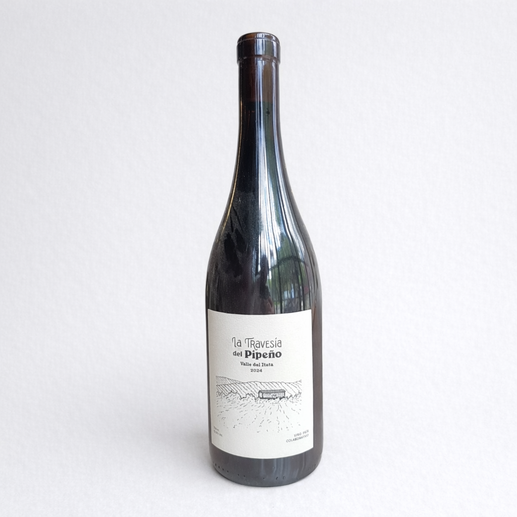 La Travesía del Pipeño - Vino País Colaborativo