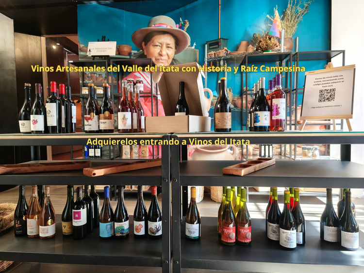 Vinos del Itata