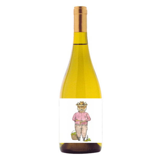 Viejo Zorro Semillón 2024