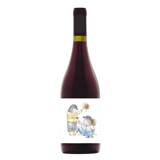 Pais Curaguilla, País 2024