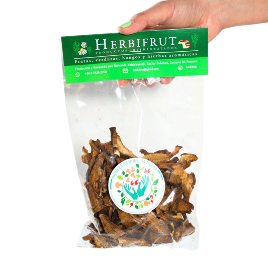 Hongo Boletus deshidratado