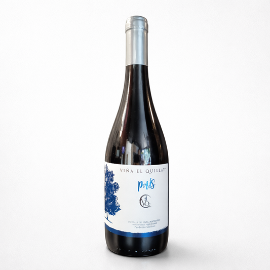 País - Viña el Quillay