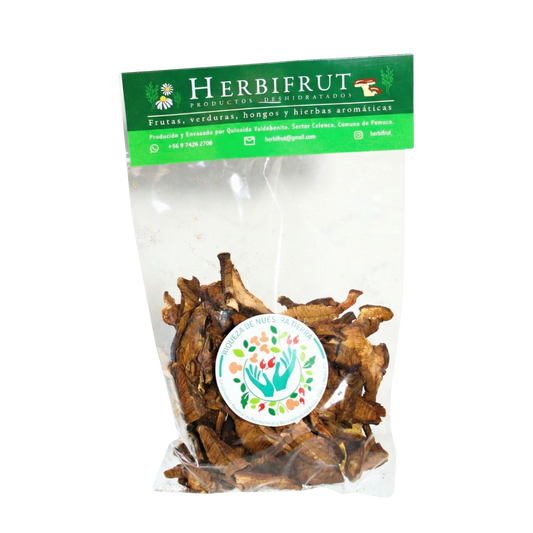 Hongo Boletus deshidratado