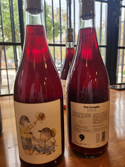 Vino País Curagüilla Jorge Cotal