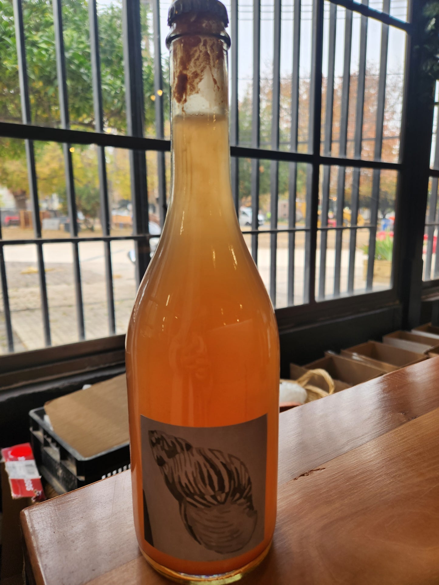 Soda/Probiótico Frutal Borra