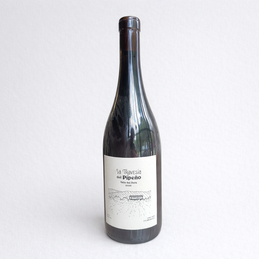 La Travesía del Pipeño - Vino País Colaborativo
