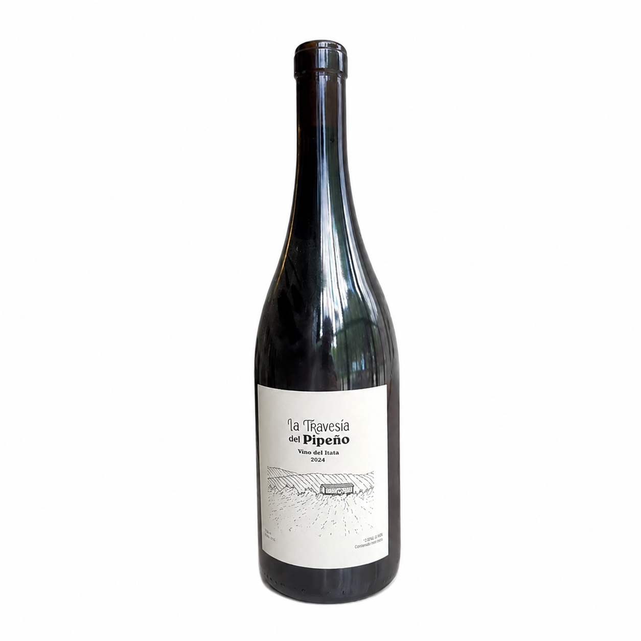 La Travesía del Pipeño - Vino País Colaborativo